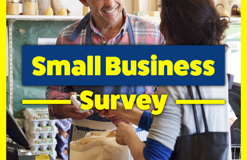 Small Business Survey