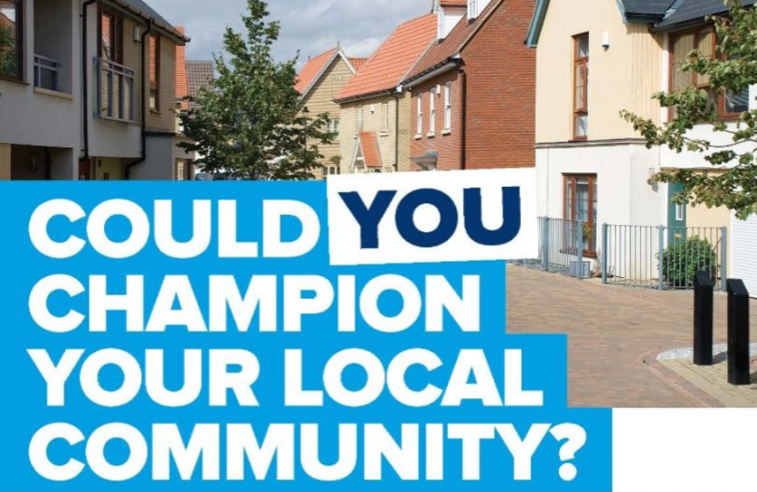 Could you be a Council candidate?